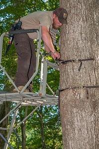 NCTC land management specialist inspecting deer stand for safety-2