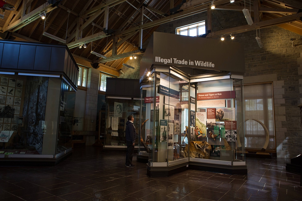 Display at National Conservation Training Center-1