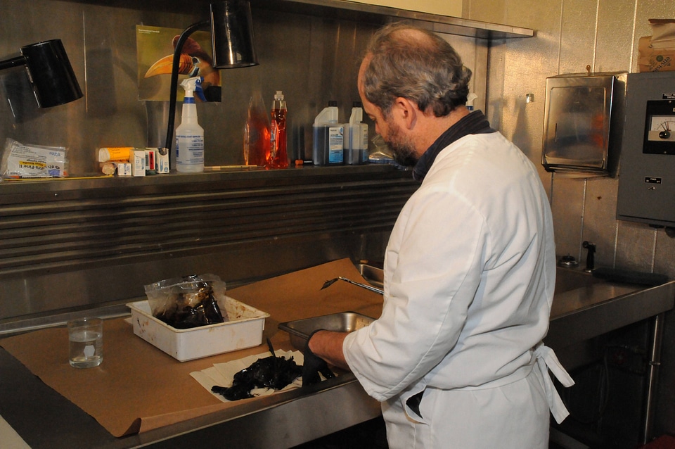 Ashland Forensics Lab-2