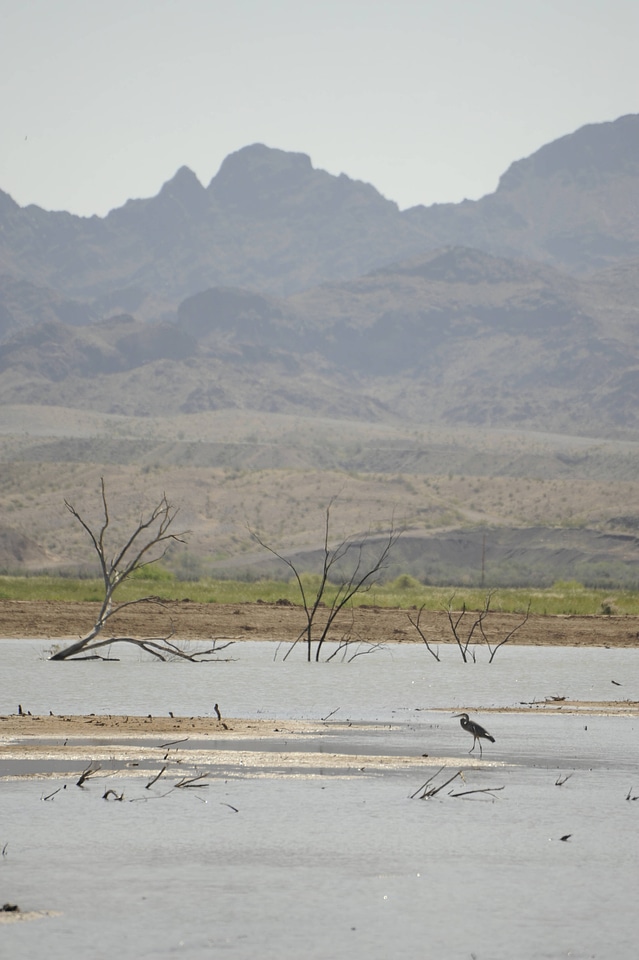 Scenic View of Cibola National Wildlife Refuge