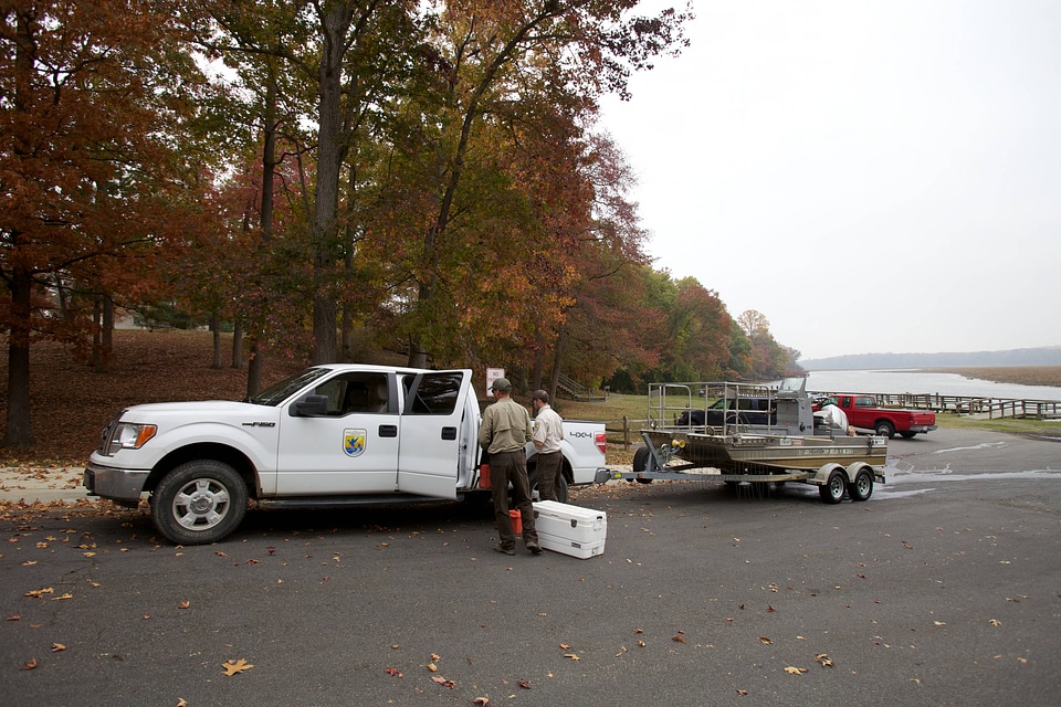 Electrofishing for Northern Snakehead-1