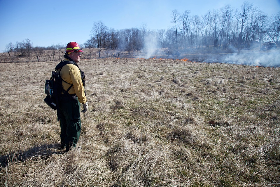 Firefighter looking out over burn field