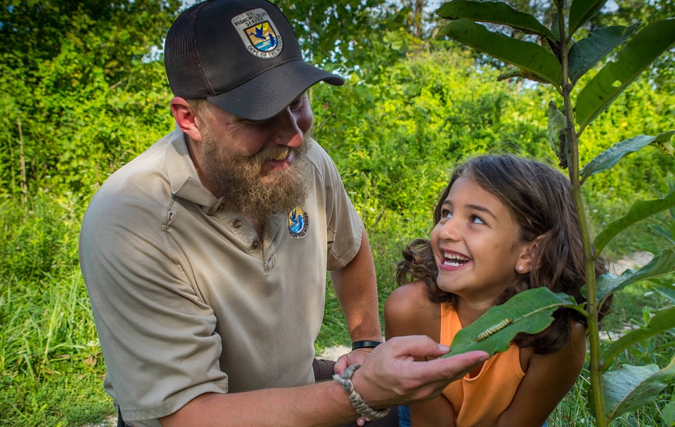 FWS employee shows young girl a Monarch caterpillar-2