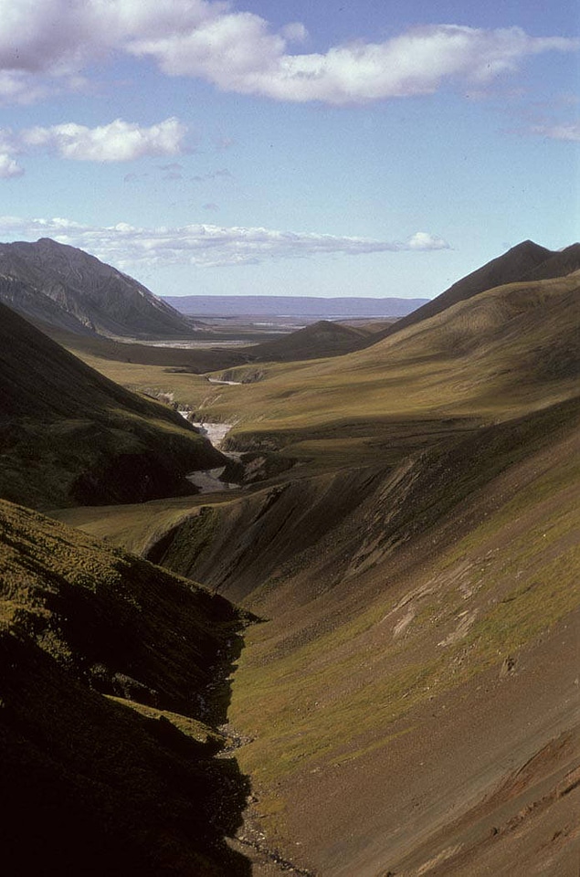 Arctic National Wildlife Refuge Valley in Summer