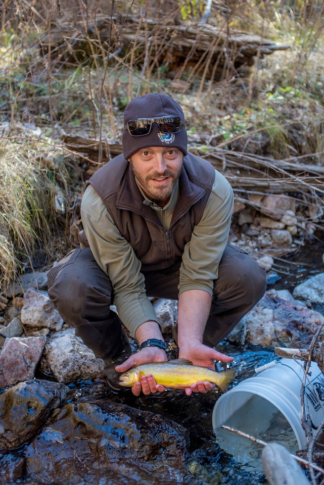 Biologist holds Gila trout in Mineral Creek