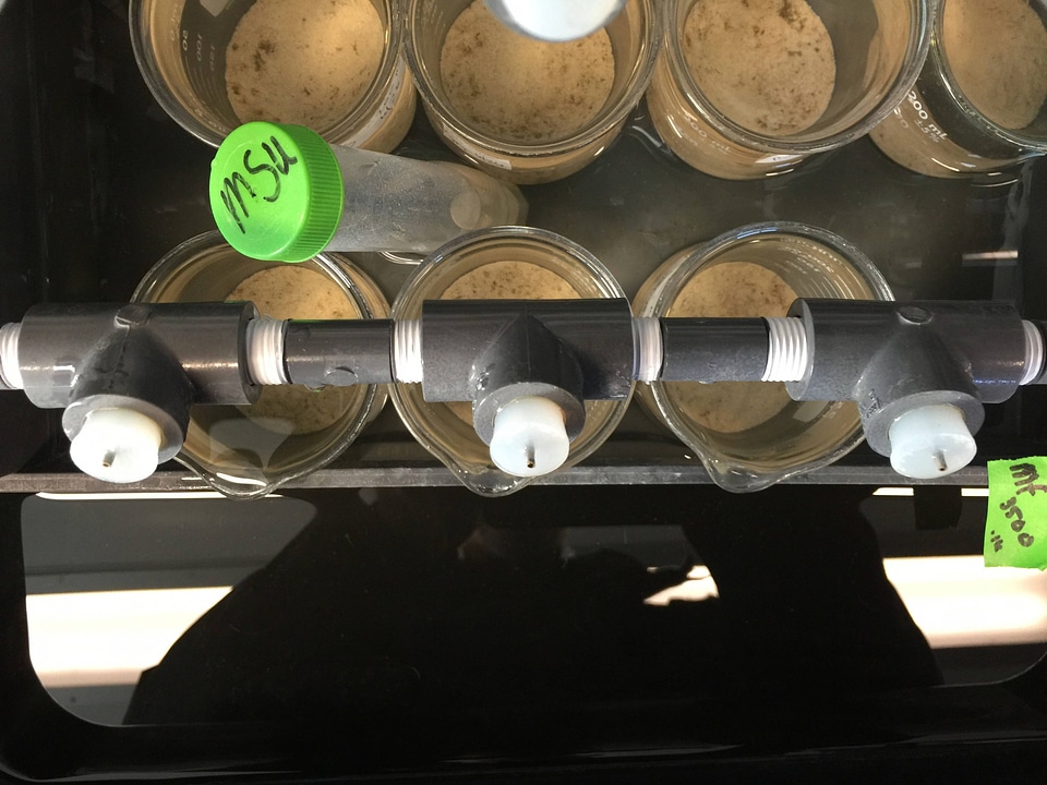 Delivering water and feed to the culture beakers