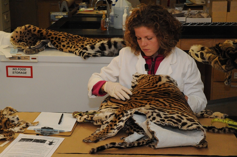 Ashland Forensics Lab-1