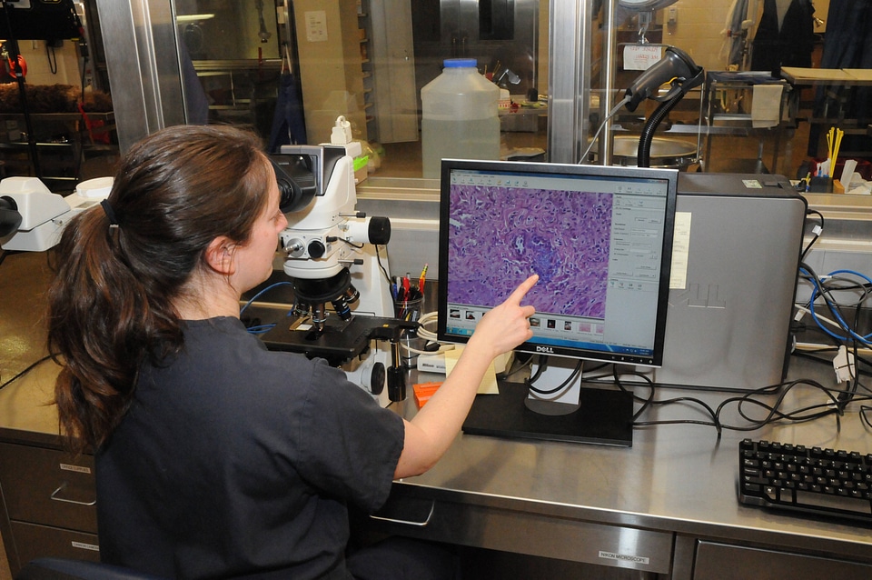 Ashland Forensics Lab-1
