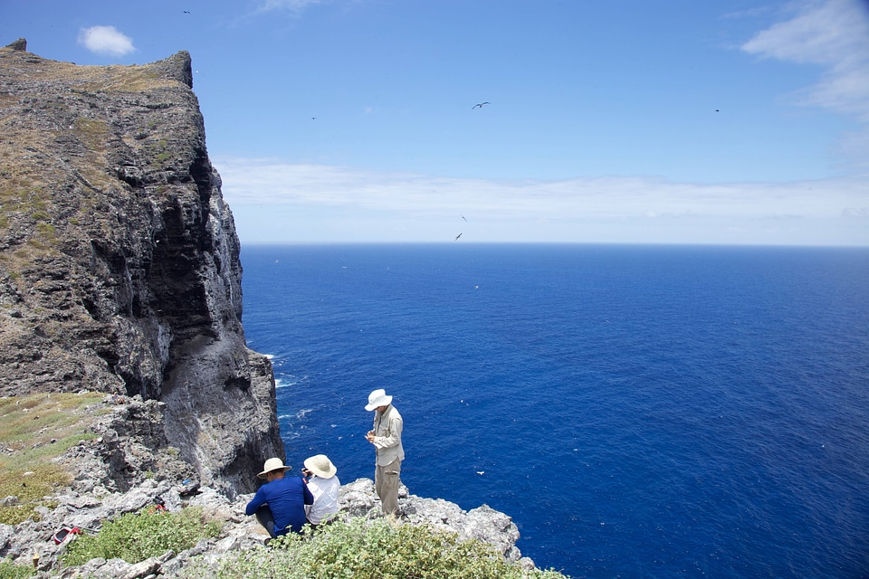 Nihoa Millerbird Translocation-1