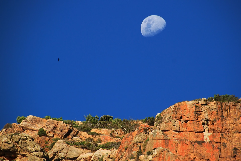 Blue mountains moonrise