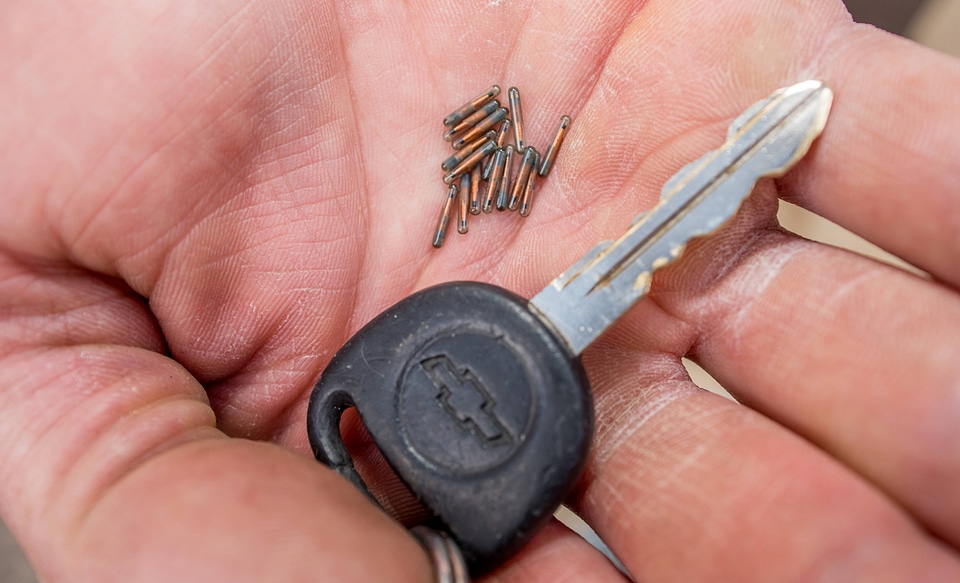 PIT tags for Gila trout-2