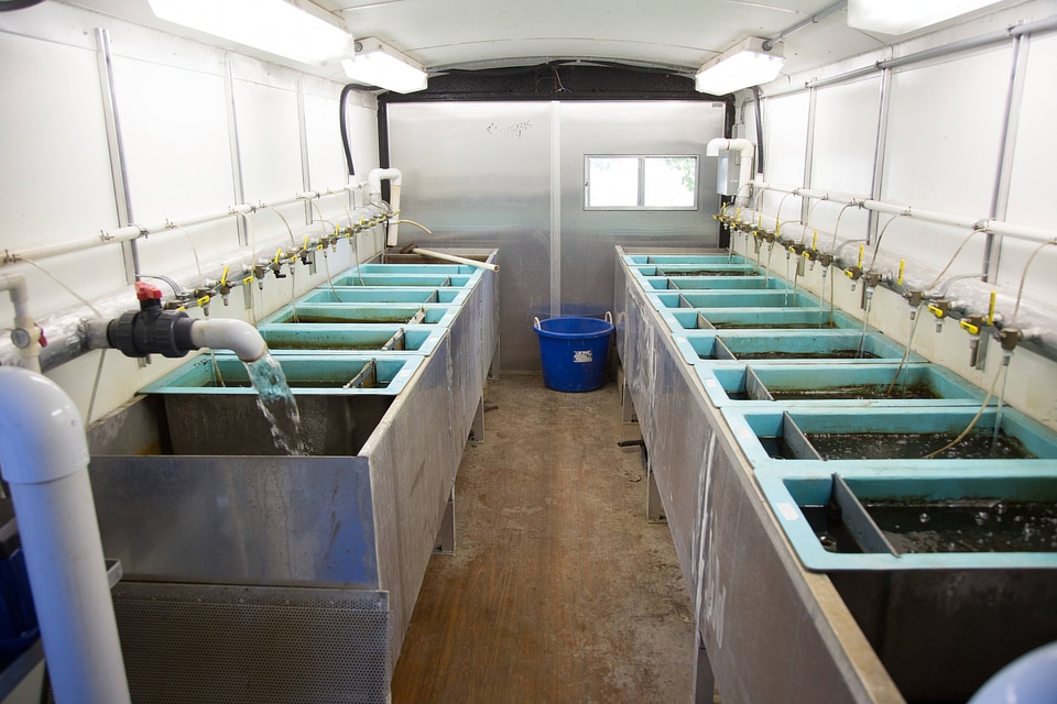 Inside the Mobile Aquatic Rearing System at Genoa National Fish Hatchery