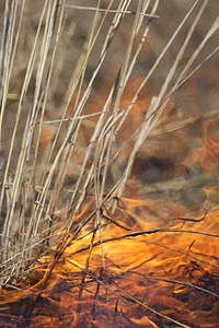 Fire burning in field