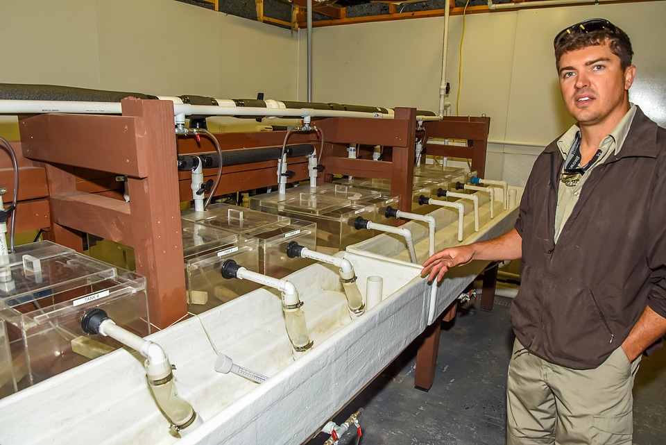 FWS mussel biologist, Jonathan Wardell , examines equipment