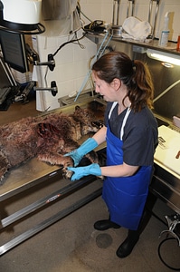 Ashland Forensics Lab-1