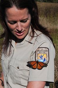 USFWS employee holds Monarch butterfly