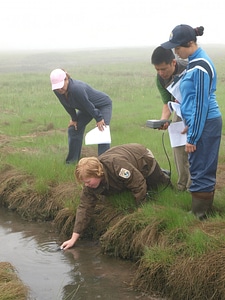 Learning how to measure salinity in a salt marsh