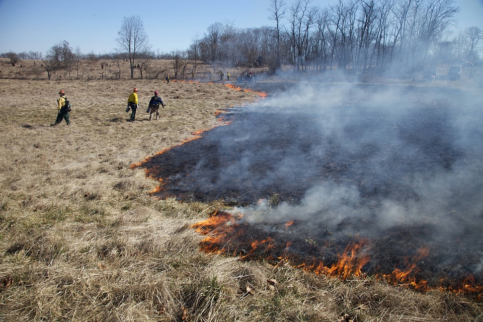 Firefighters walking outer perimeter of fire