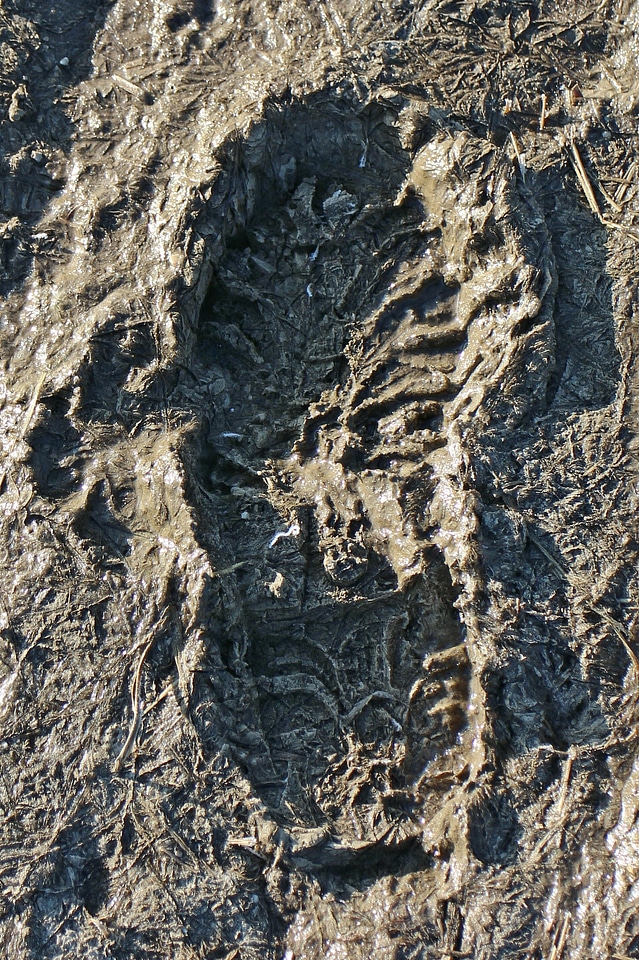 Traces human footprints