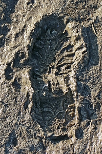 Traces human footprints