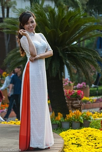 Vietnam saigon festival