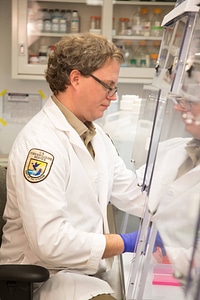 Geneticist at work-1