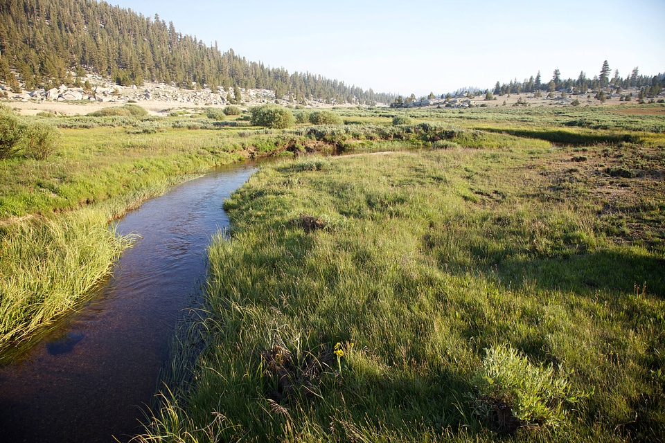 Stream through Sierra Nevada high alpine meadow-1