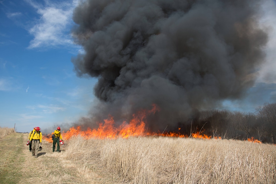 Prescribed burn at NCTC -1
