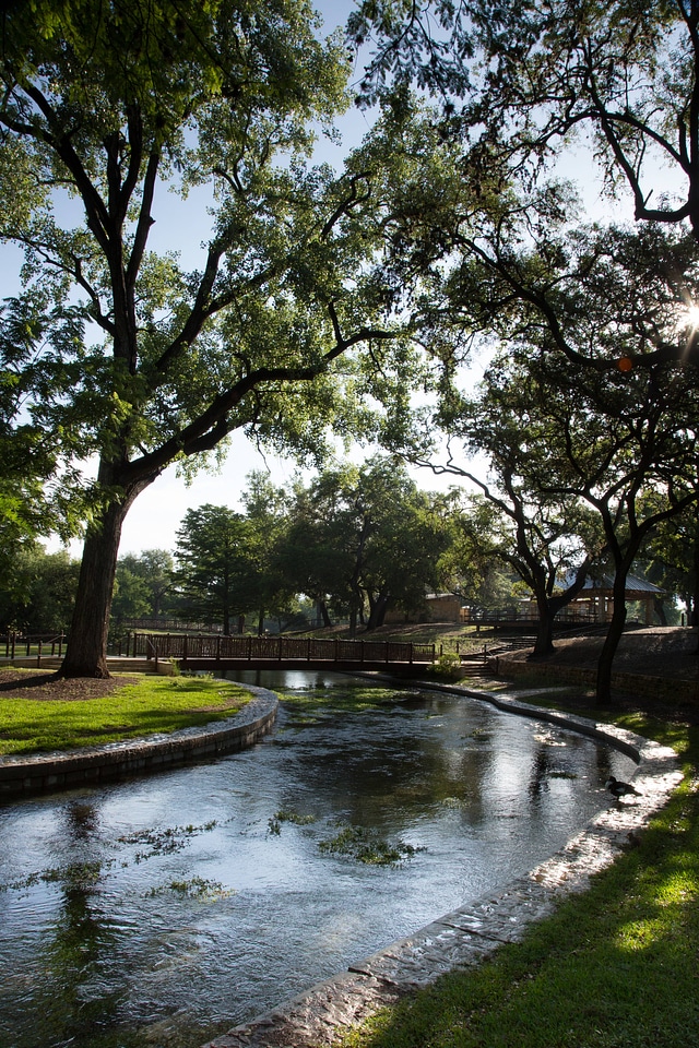 Landa Park Spring-1