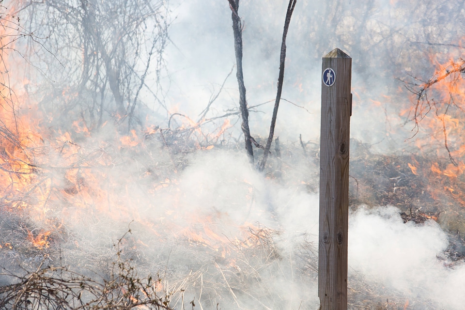 Prescribed burn at NCTC -2