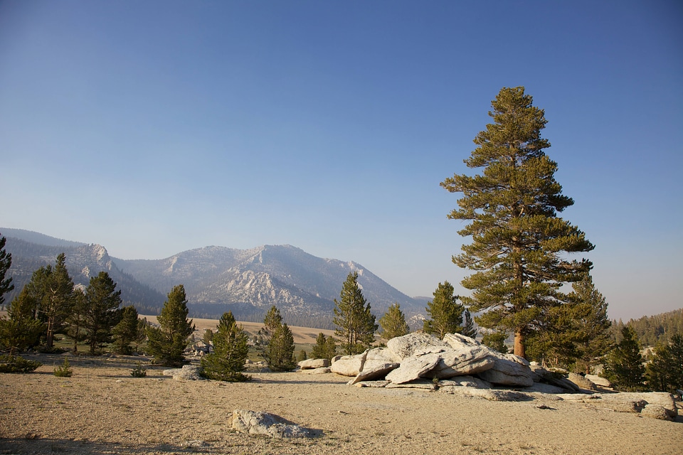 Sierra Nevada high alpine meadow-2 photo