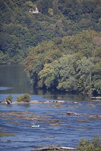 Fly fishing the Potomac River