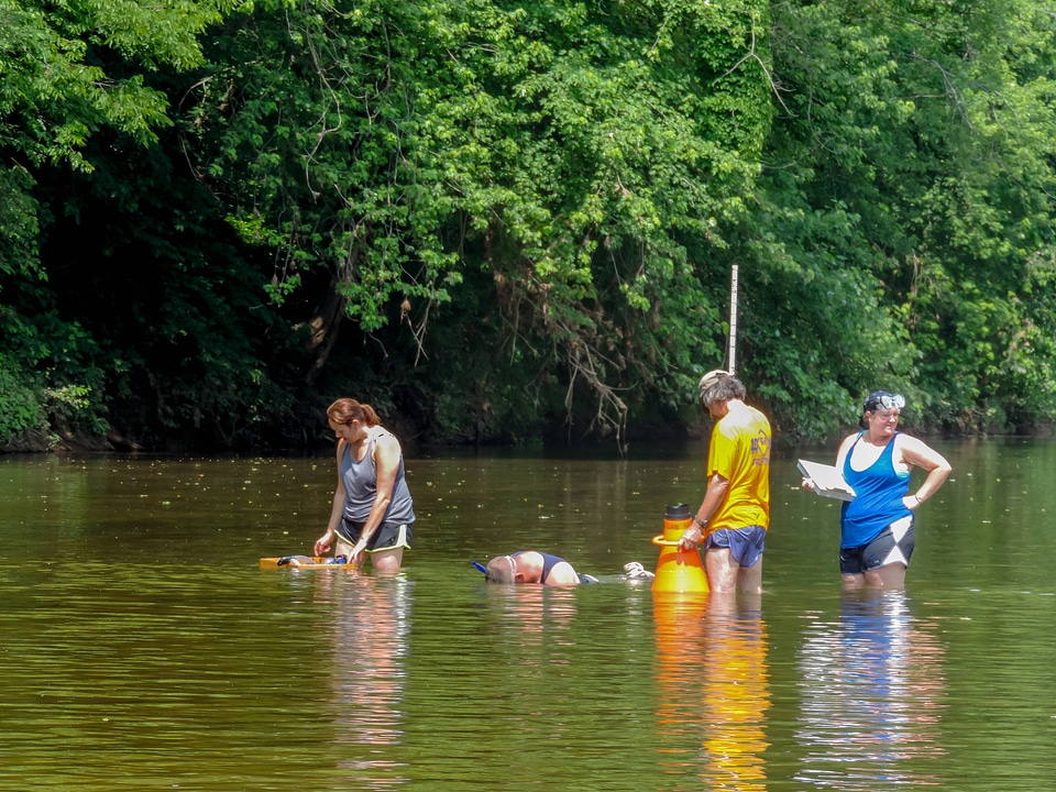 Students laying underwater transects