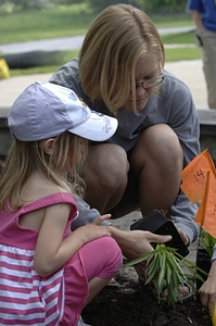 Planting Together