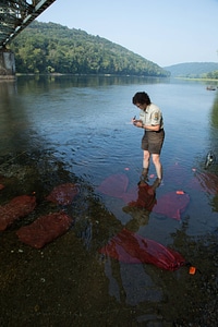Refuge biologist counts freshwater mussels in river-2