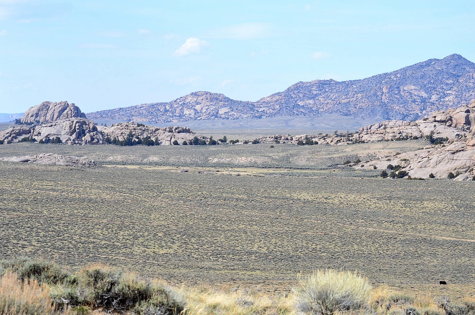 Wide open sagebrush habitat