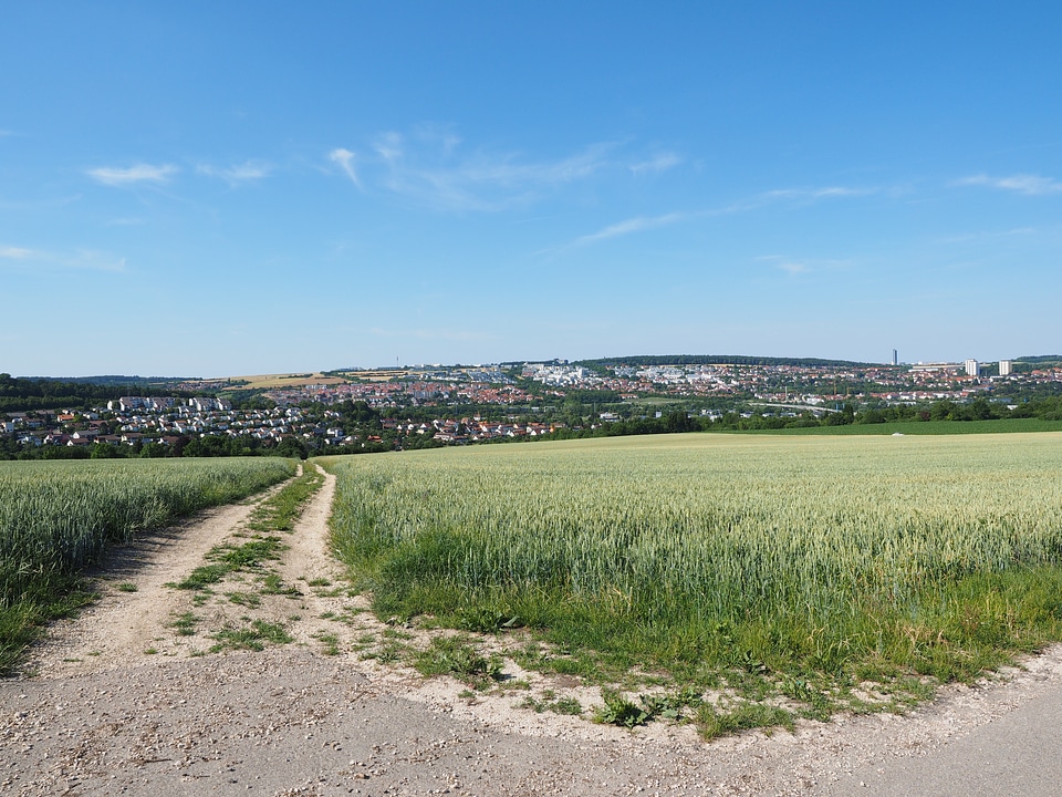 Landscape vision outlook