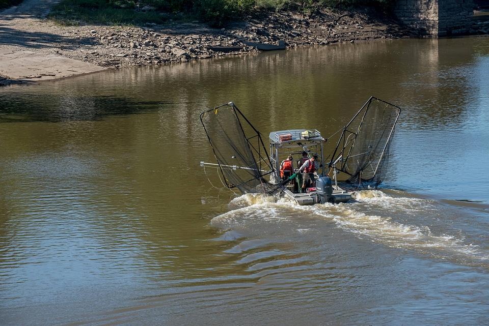 U.S. Fish and Wildlife Service boat, The Magna Carpa, searching for invasive carp-1
