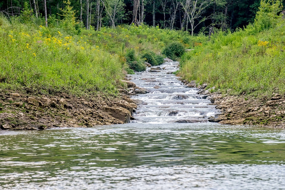 Hatchery Creek pouring into Cumberland River Tailwater