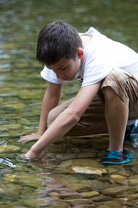 Young boy looks for macroinvertebrates in the shallow water