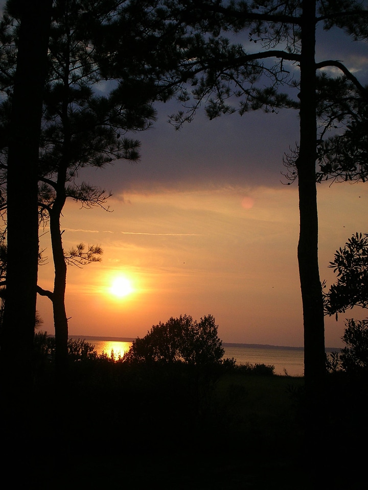 Sunset at a wetland area