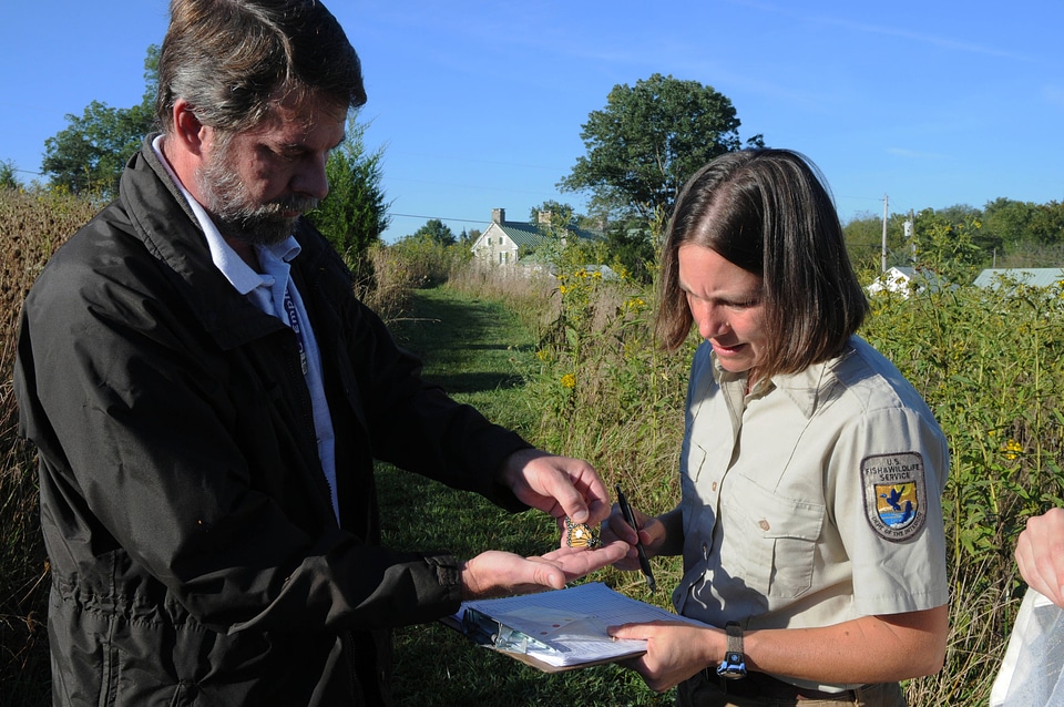 USFWS biologists tag a Monarch butterfly