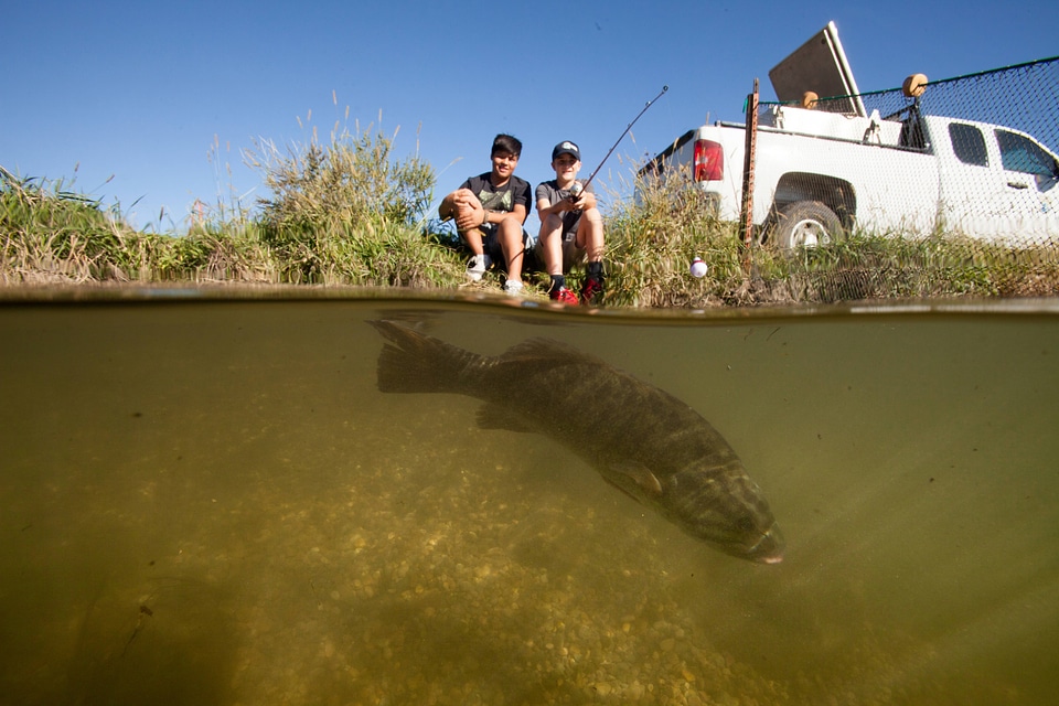 Smallmouth bass fishing-1