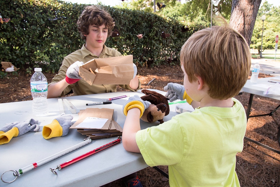 Two boys preparing to examine bats