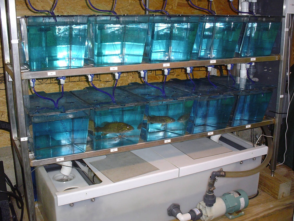 Multi-tank rack system