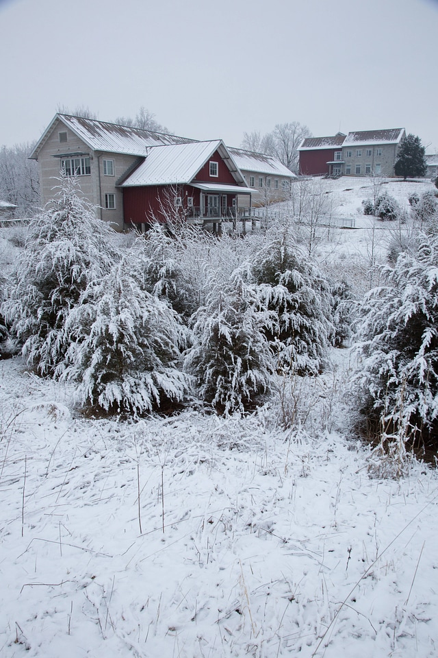 Snow on buildings-2