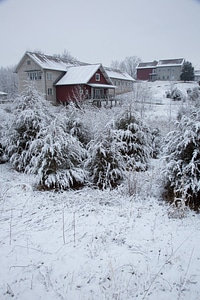 Snow on buildings-2