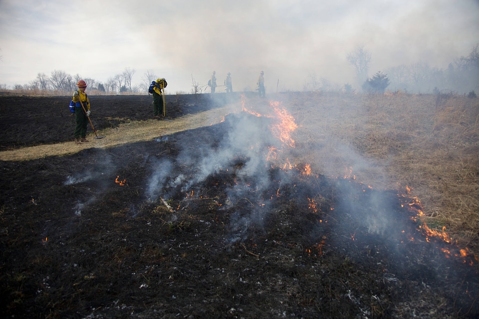 Firefighters in burn area