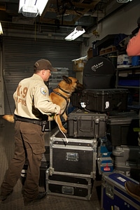 Law enforcement with K-9-1