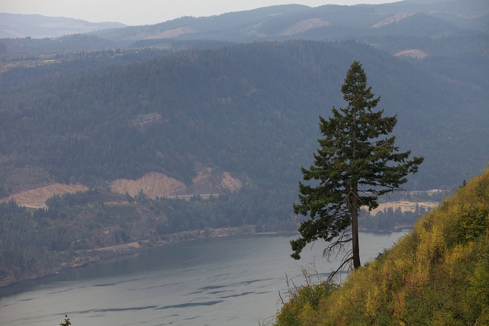 Columbia River scenic